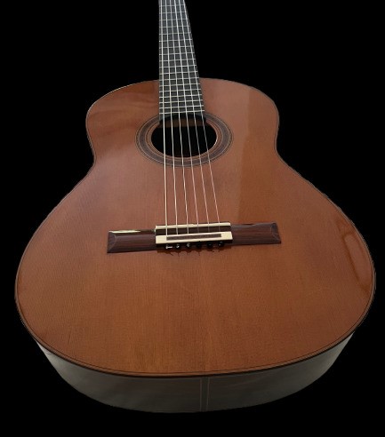 DANIEL FRIEDERICH  1990   Cedar
<br>PRICE : Please enquire